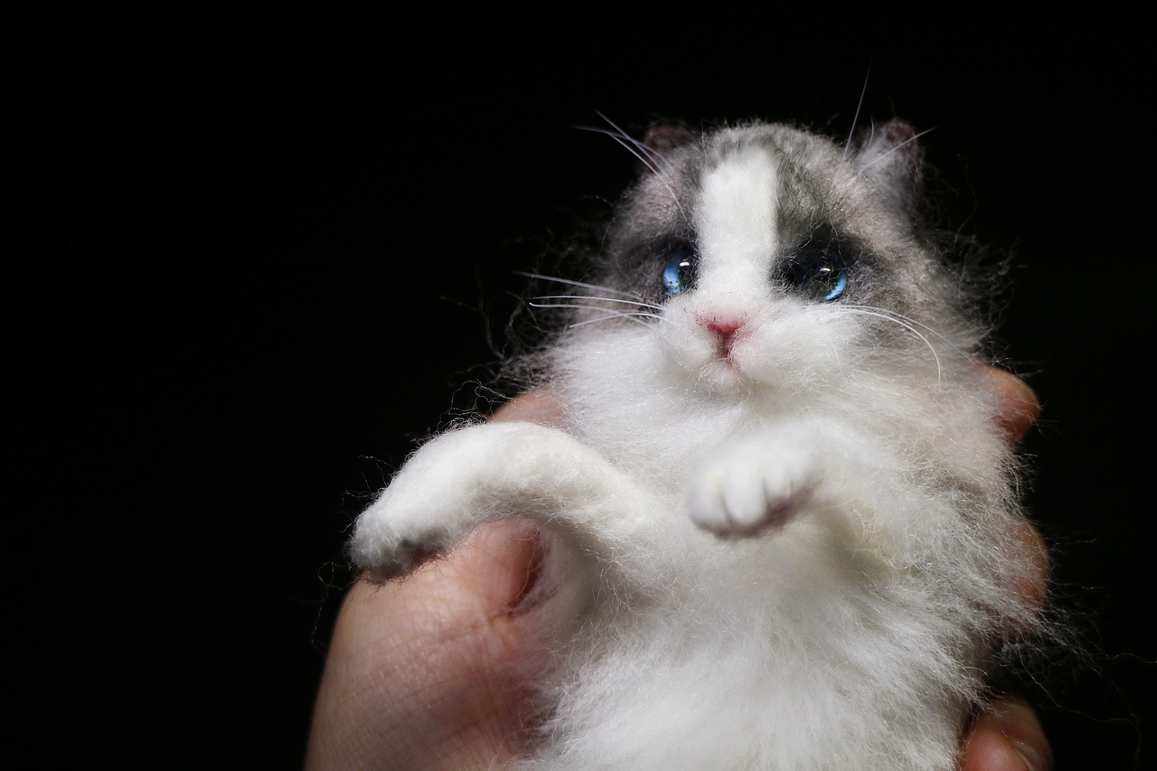 手工羊毛毡小猫咪宠物猫狗之布偶猫