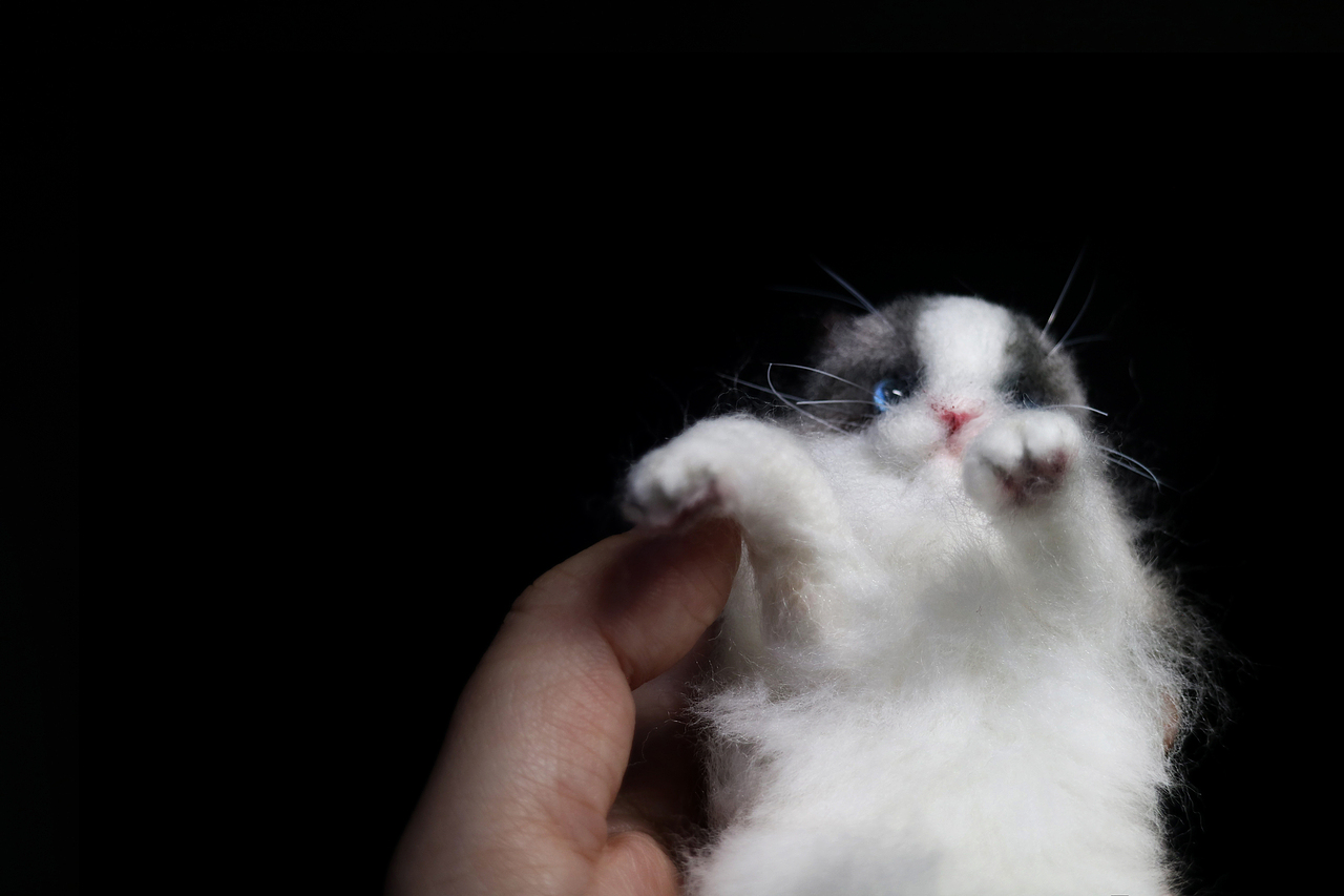 手工羊毛毡小猫咪宠物猫狗之布偶猫