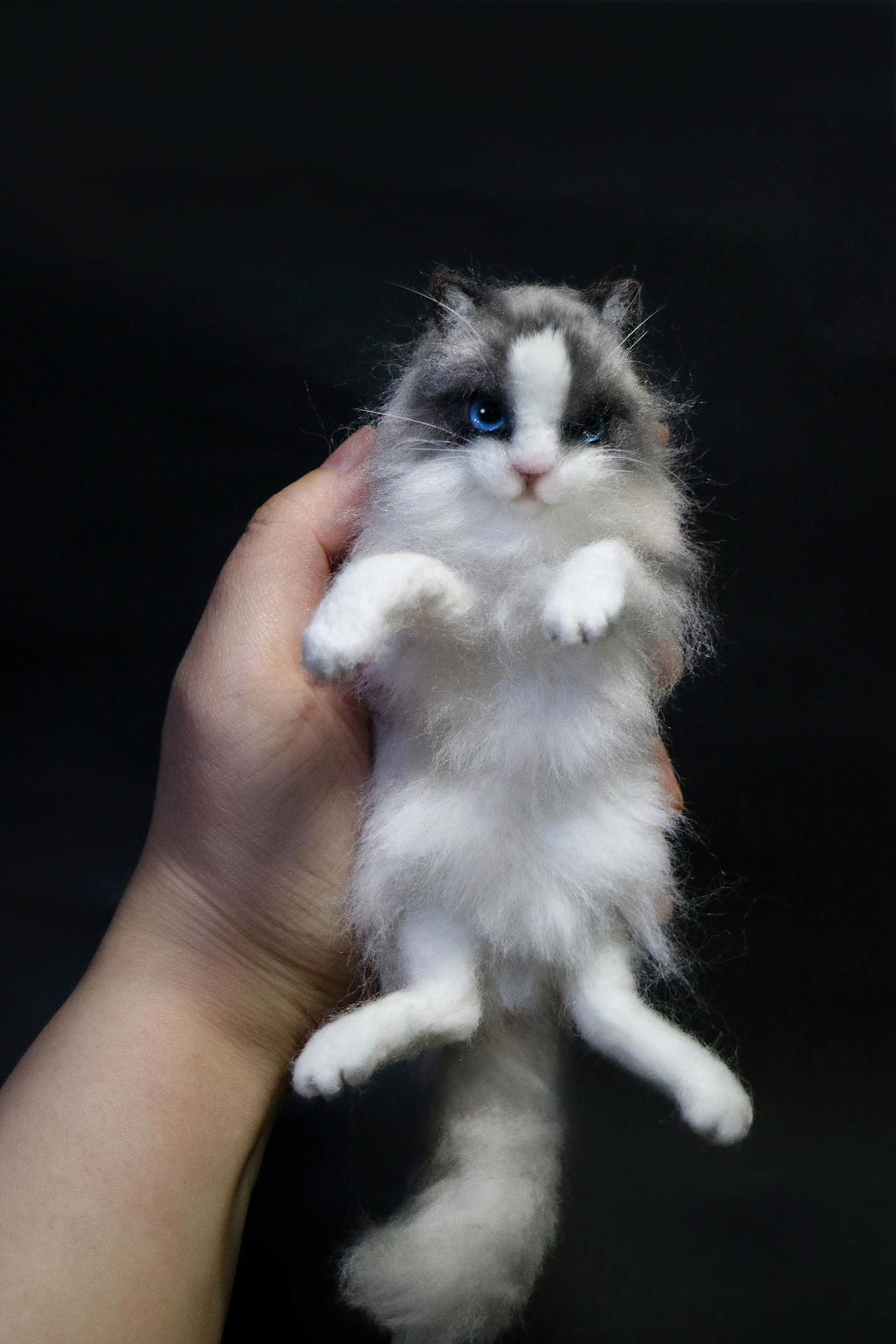 手工羊毛毡小猫咪宠物猫狗之布偶猫