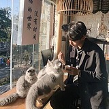 偷懒的渡的头像