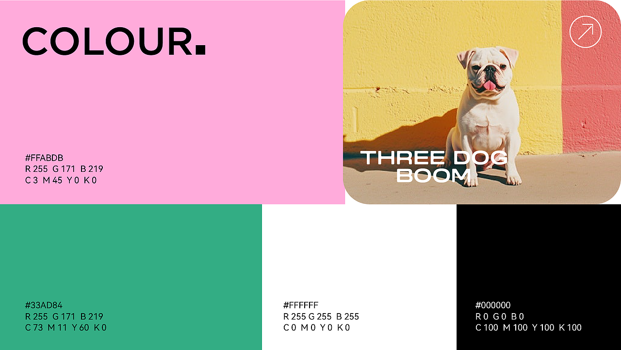 三犬宝物 THREE DOG BOOM ｜ 宠物潮流品牌（图ZMzg5Mjc2NjA0） - 品牌 - 站酷设计师是Lory啦原创素材 - 站酷ZCOOL