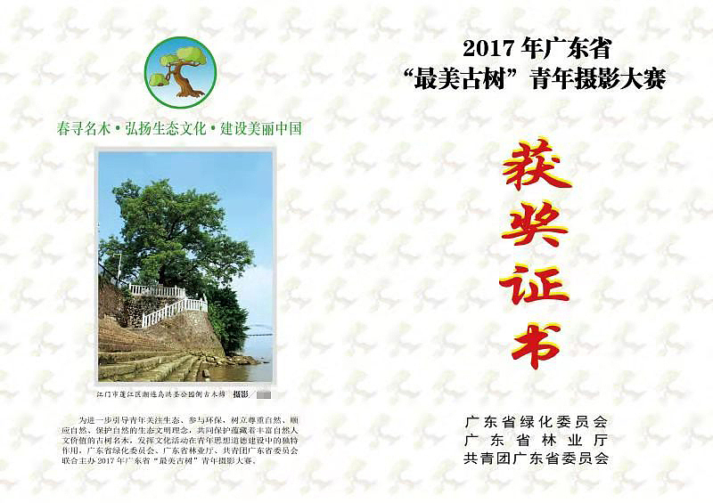 参加“最美古树”青年摄影大赛荣获优秀奖（图ZMzg5Mjc4NDA4） - 环境/建筑摄影 - 站酷设计师Juan的设计日常原创素材 - 站酷ZCOOL