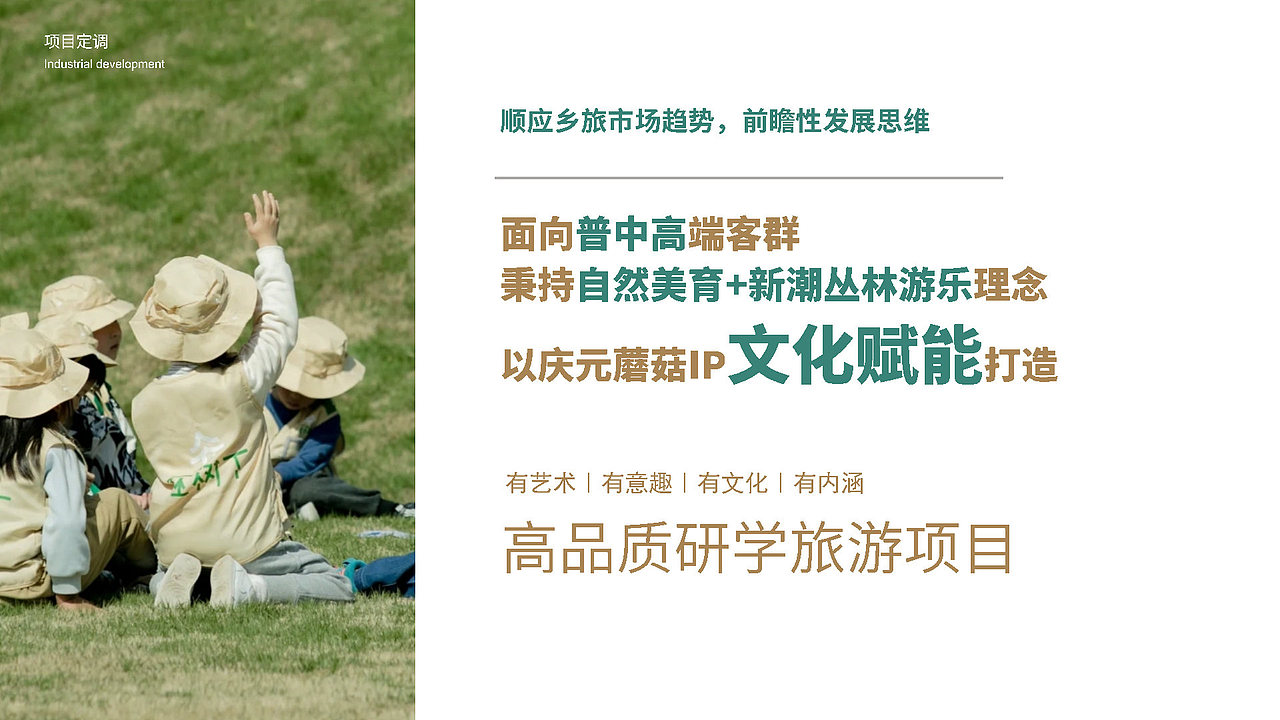 浙江丽水 蘑菇研学小镇概念规划