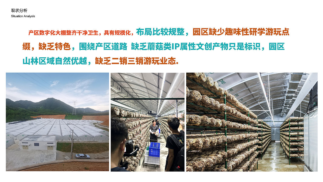 浙江丽水 蘑菇研学小镇概念规划