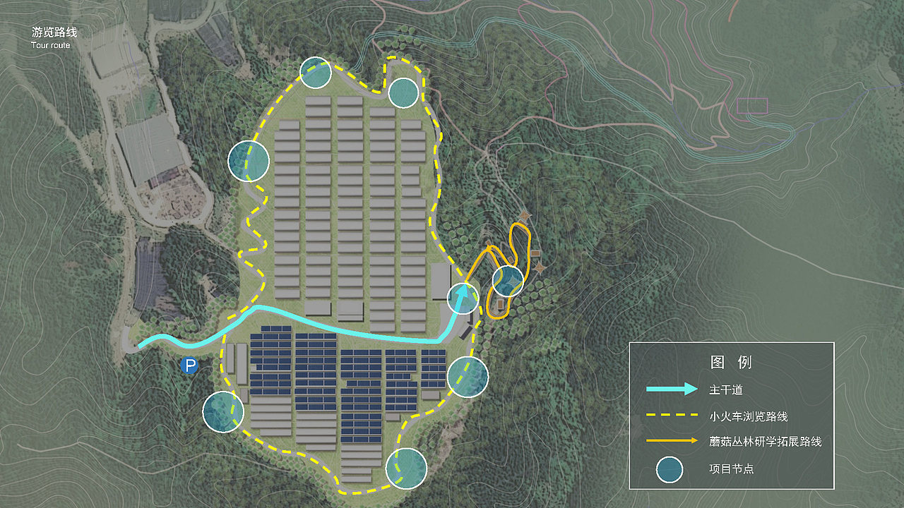 浙江丽水 蘑菇研学小镇概念规划