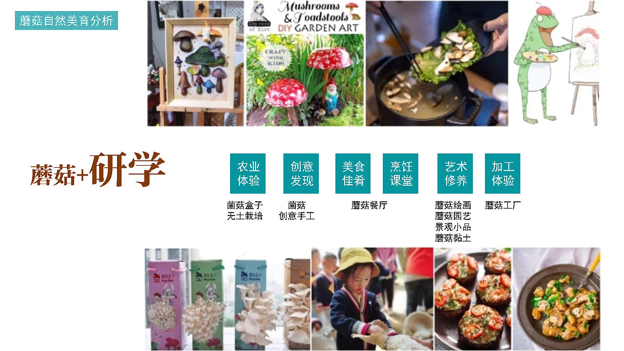 浙江丽水 蘑菇研学小镇概念规划