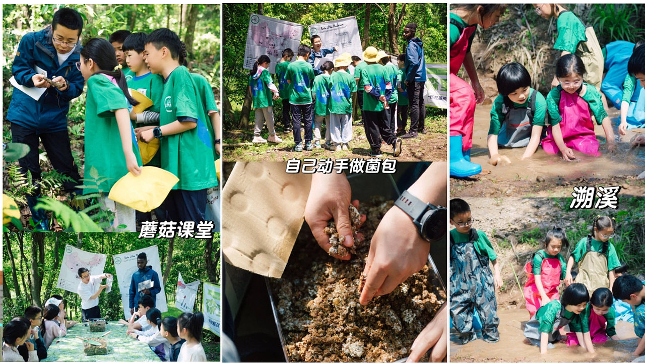 浙江丽水 蘑菇研学小镇概念规划