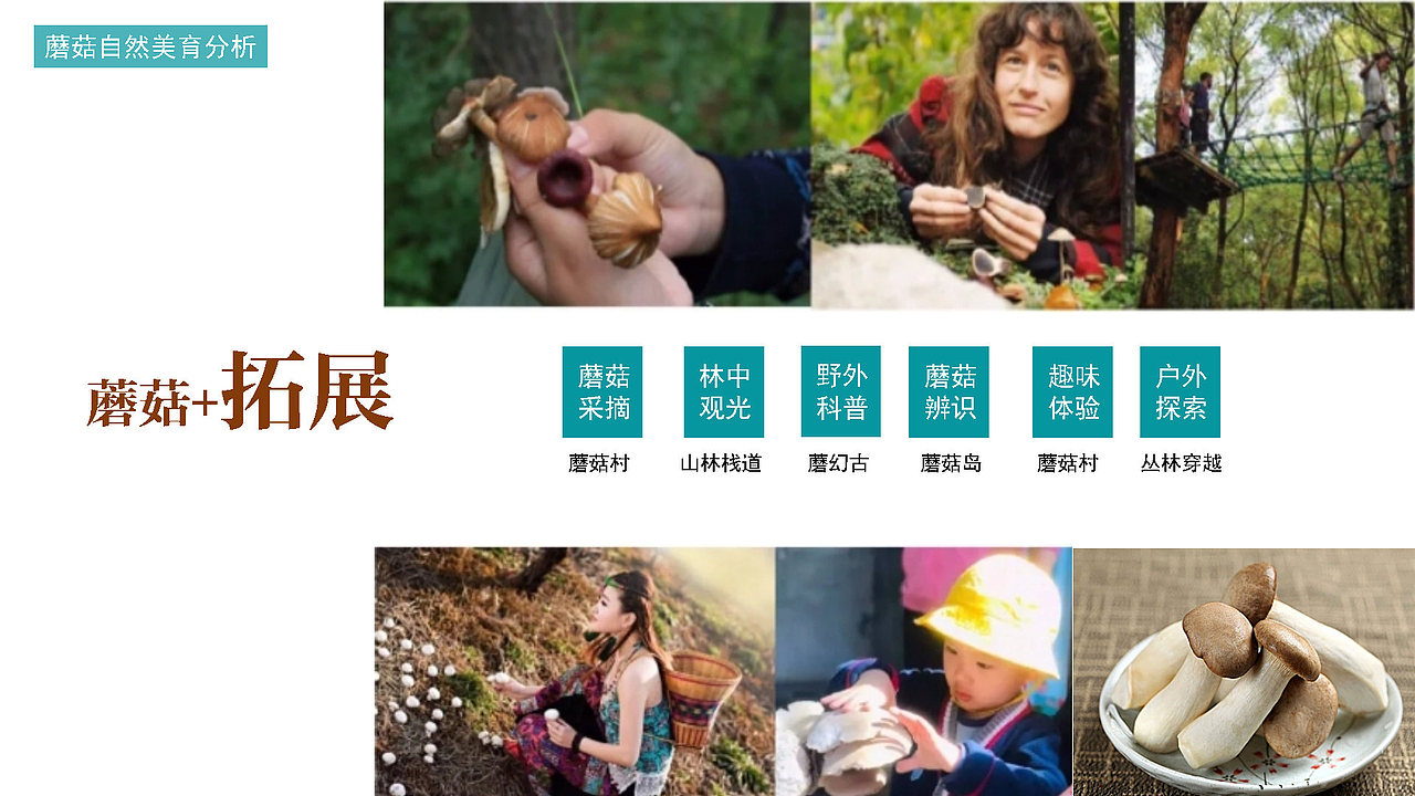 浙江丽水 蘑菇研学小镇概念规划