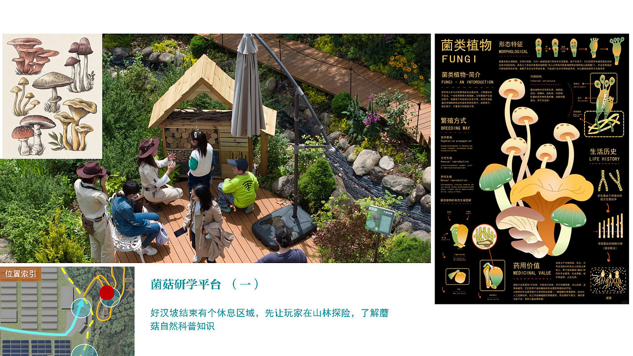 浙江丽水 蘑菇研学小镇概念规划