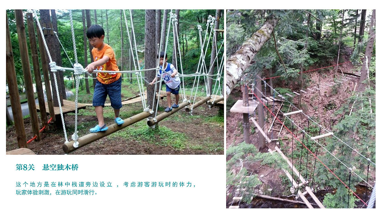 浙江丽水 蘑菇研学小镇概念规划