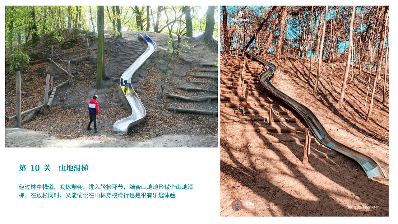 浙江丽水 蘑菇研学小镇概念规划