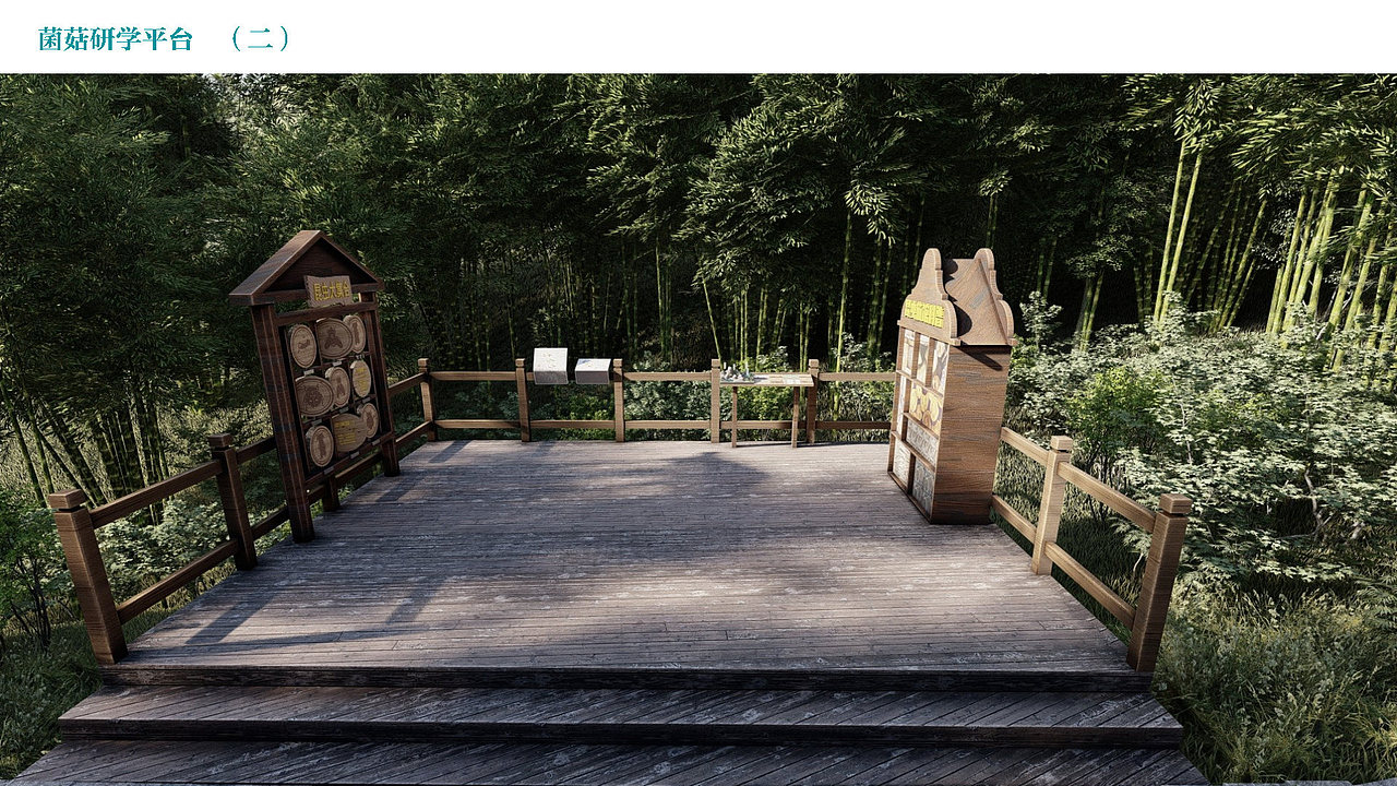 浙江丽水 蘑菇研学小镇概念规划