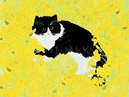 油菜花田里的小喬治