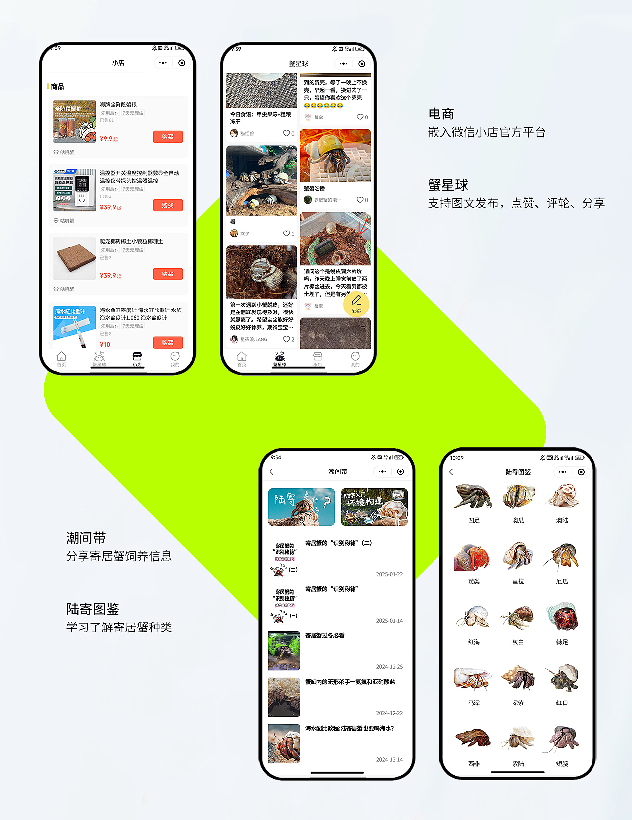 咕唧蟹小程序-专为寄居蟹饲养爱好者打造