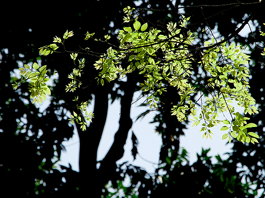 一些随拍的风景摄影作品