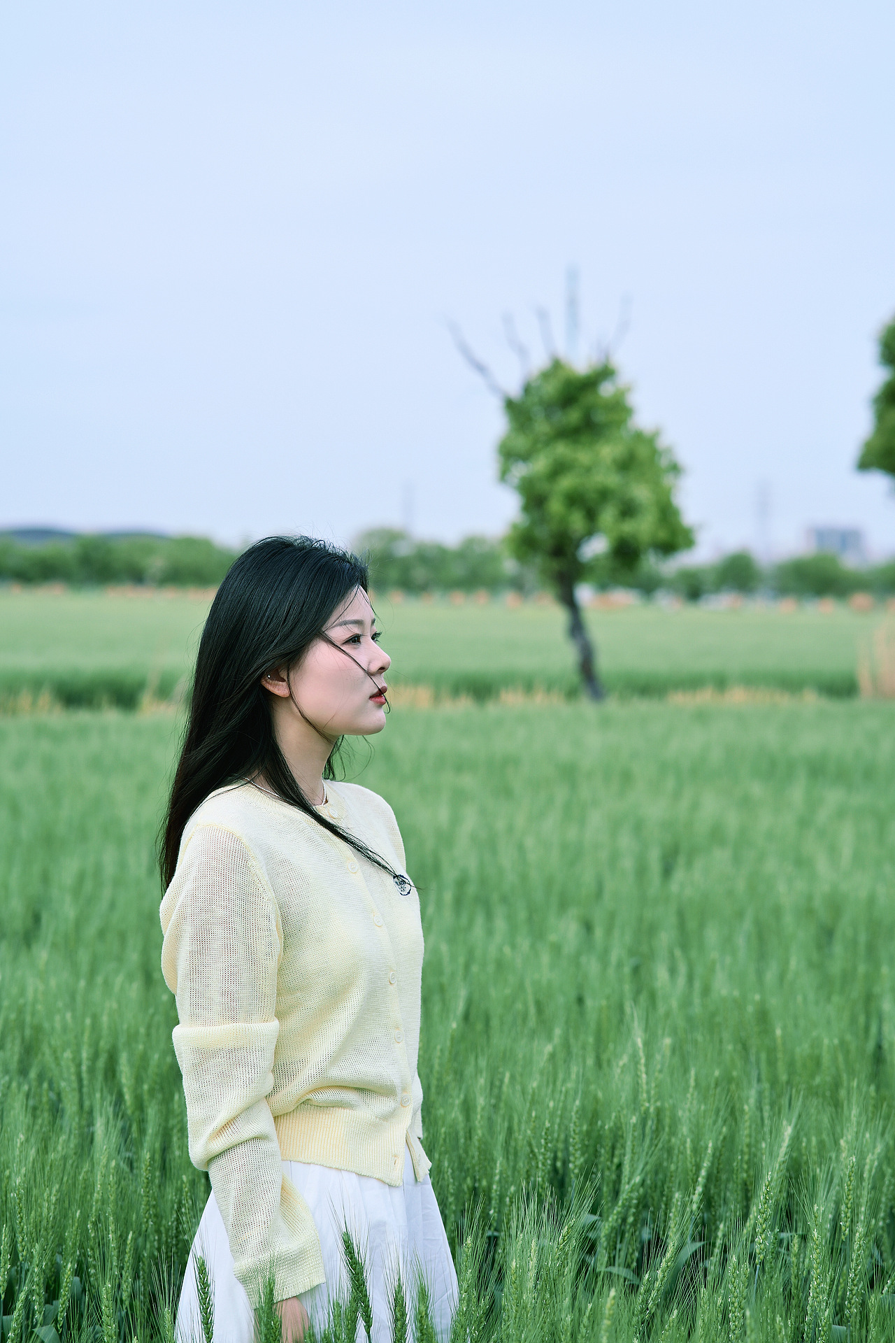 🌾一起去看麦田吧～～～（图ZMzg5MzIwMDE2） - 人像摄影 - 站酷设计师凌箫啊原创素材 - 站酷ZCOOL