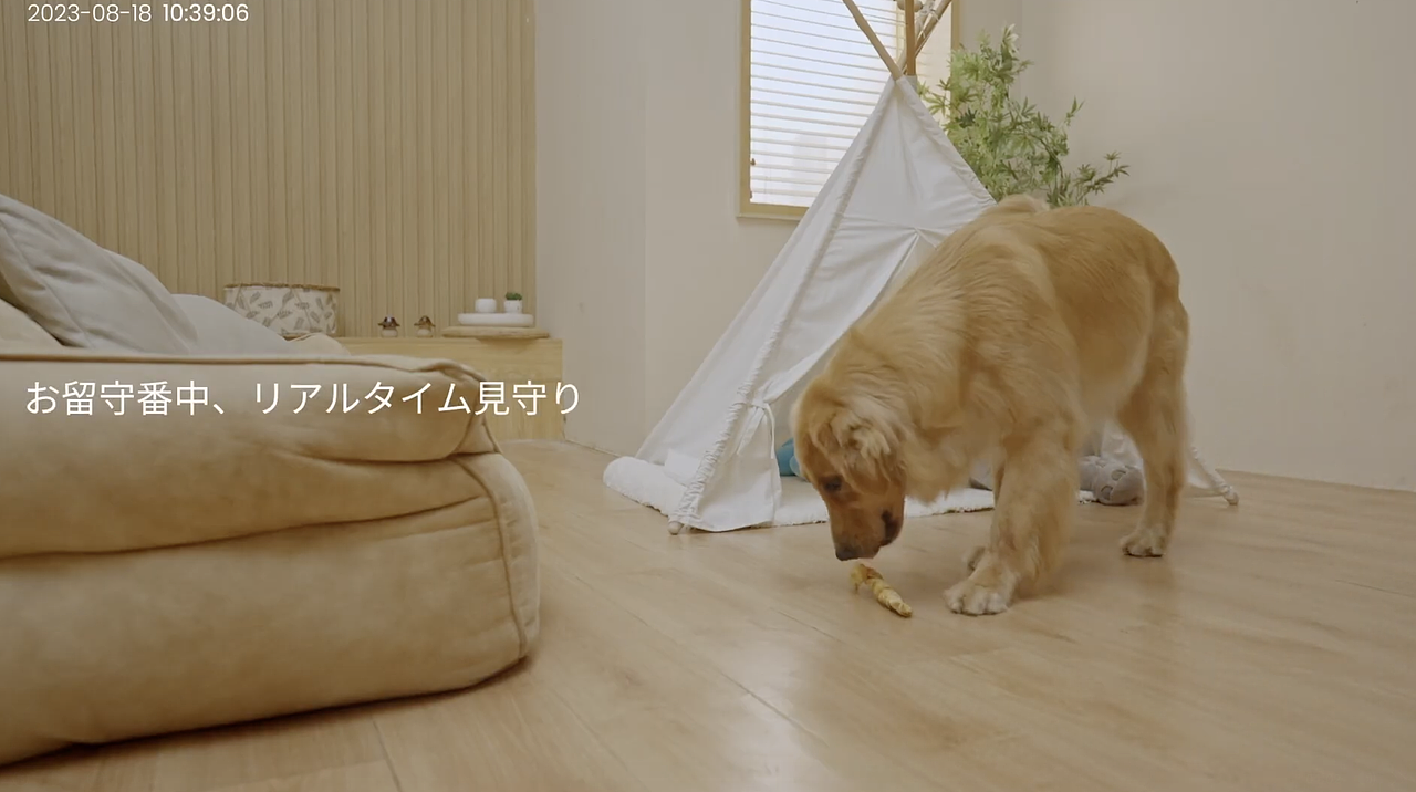 安防摄像头产品广告视频-亚马逊日本站