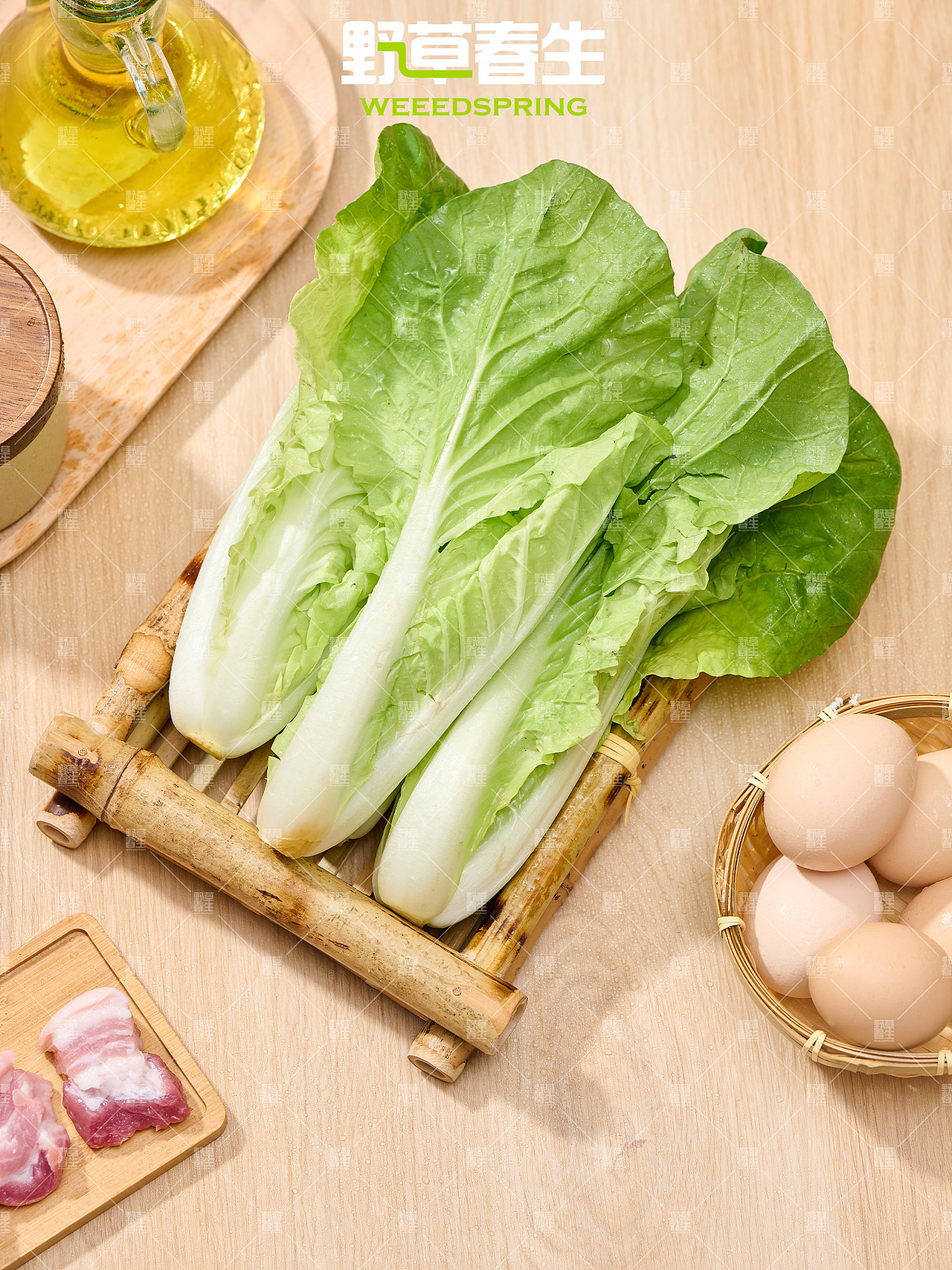 野草春生X毛白菜摄影