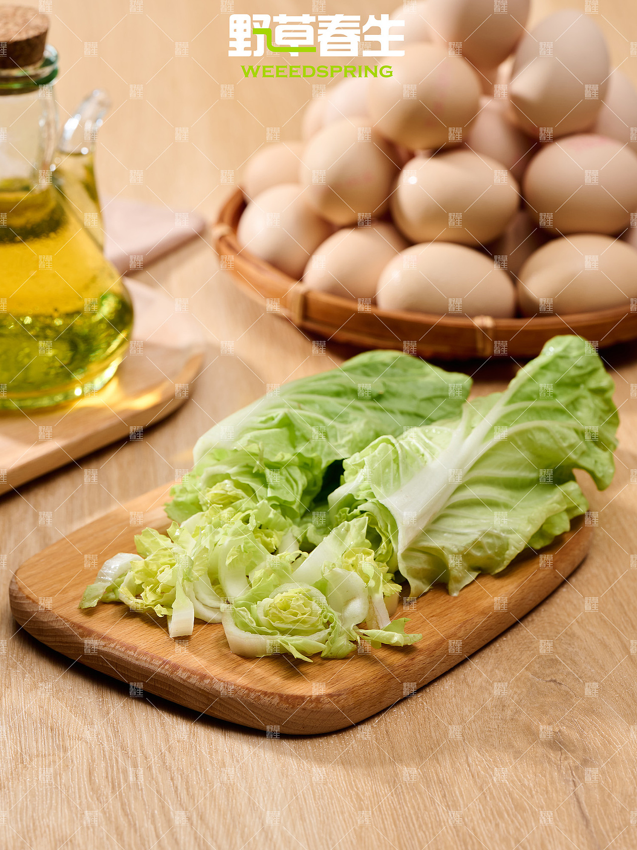 野草春生X毛白菜摄影