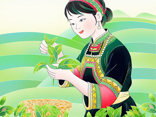 手绘春天少数民族少女采摘茶叶生活插画