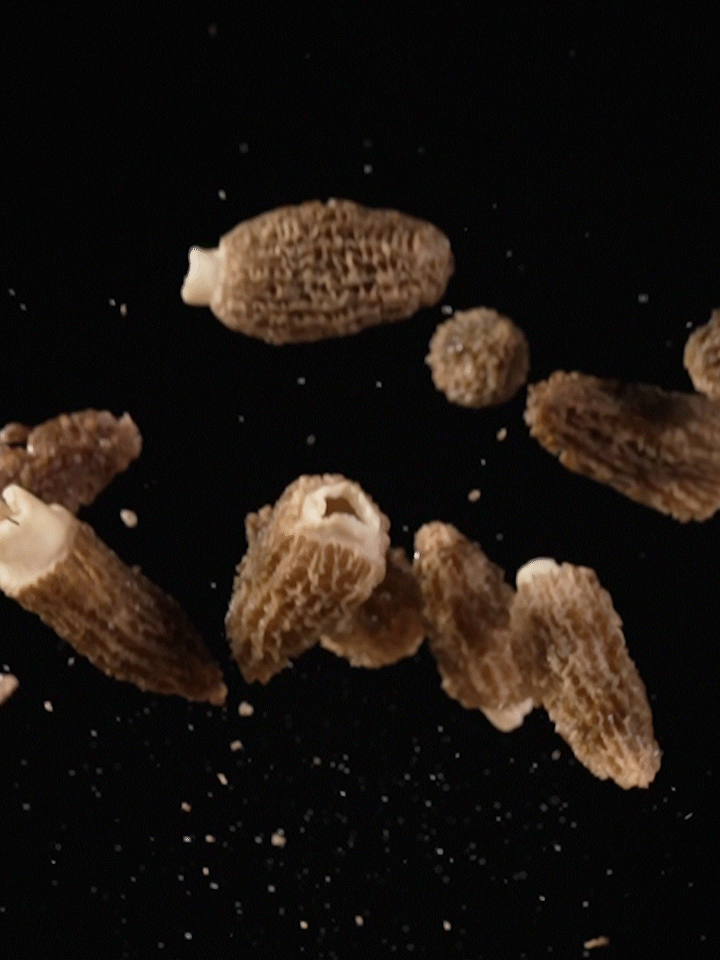 羊肚菌 | 食品视频 ✖ 众目摄影 |（图ZMzg5MzgyODIw） - 宣传片 - 站酷设计师众目摄影设计原创素材 - 站酷ZCOOL