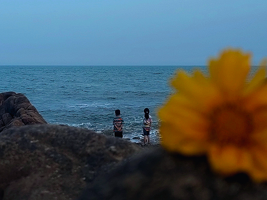 《 波力海苔 》