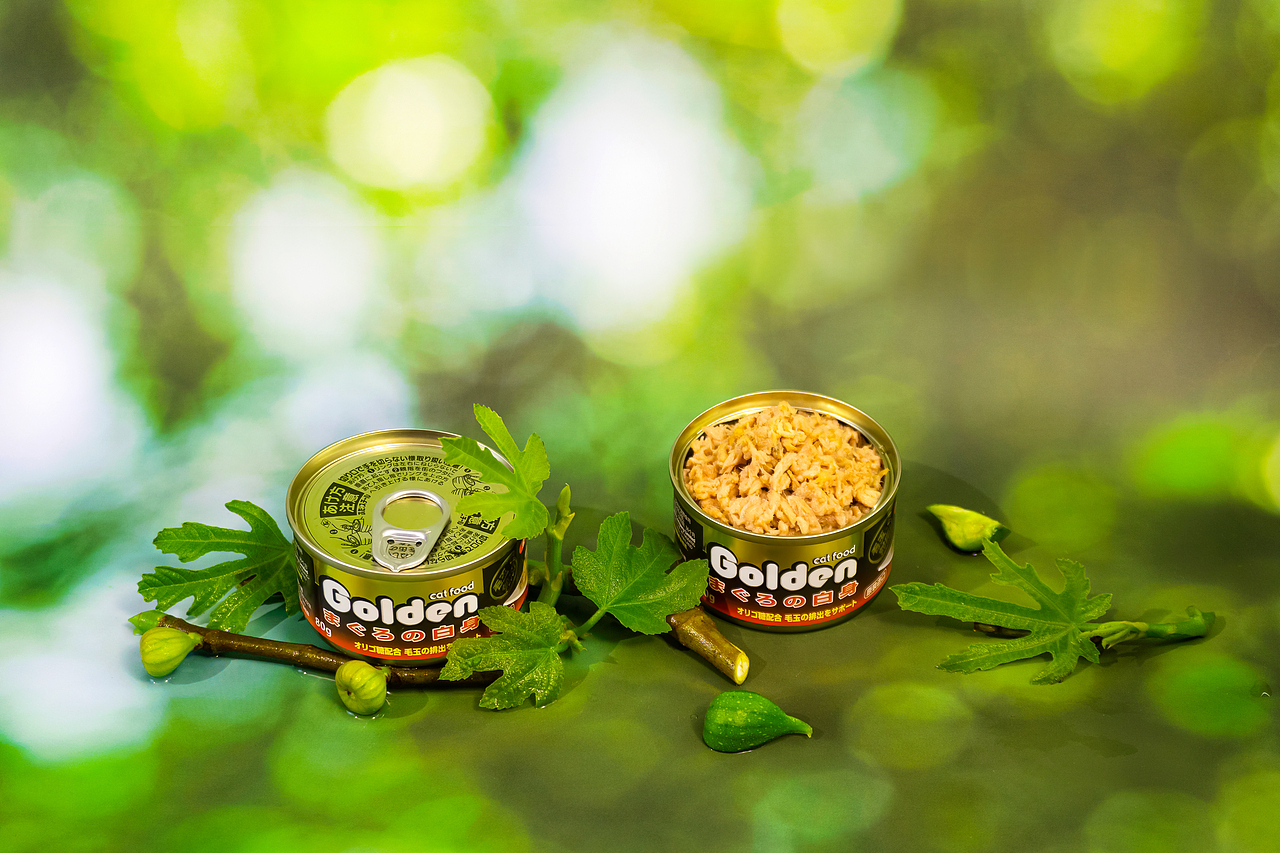 金赏植物场景猫罐头摄影
