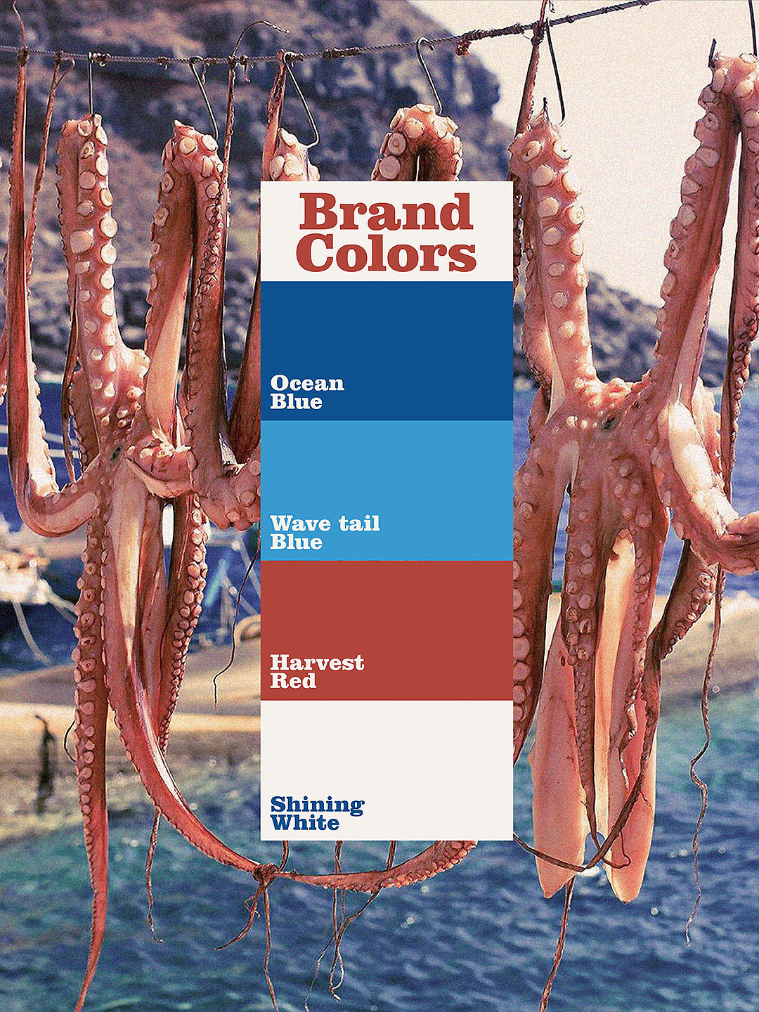 廖记水产（图ZMzg5NDAzMTg0） - 品牌 - 站酷设计师ZHHHHH_原创素材 - 站酷ZCOOL