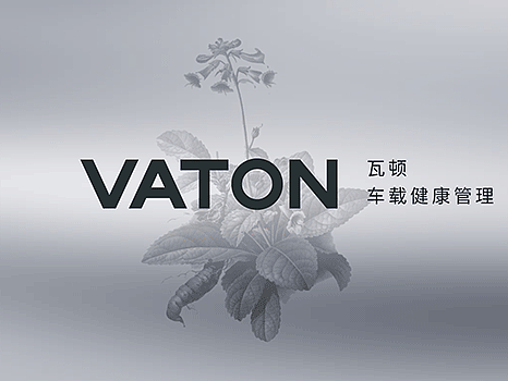 LOGO设计 | 包装设计 | 瓦顿品牌全案