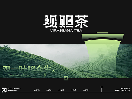 观照茶