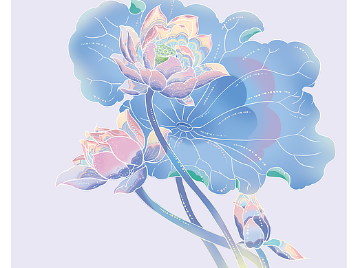 国风插画荷花