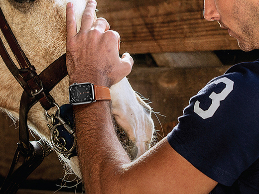 爱马仕表带/苹果表带/Apple Watch