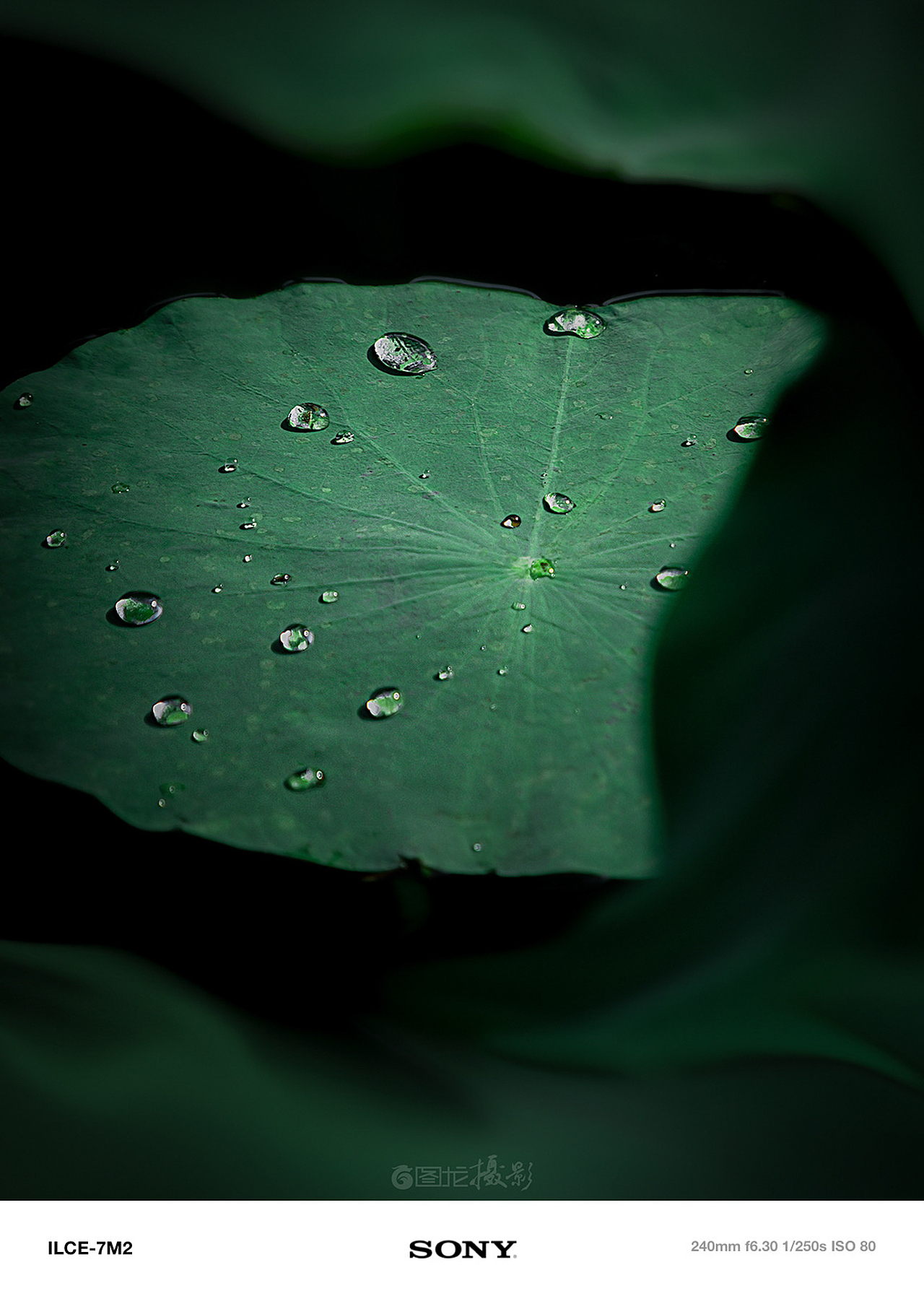 摄影笔记｜在日出与夕阳间，聆听时光的低语