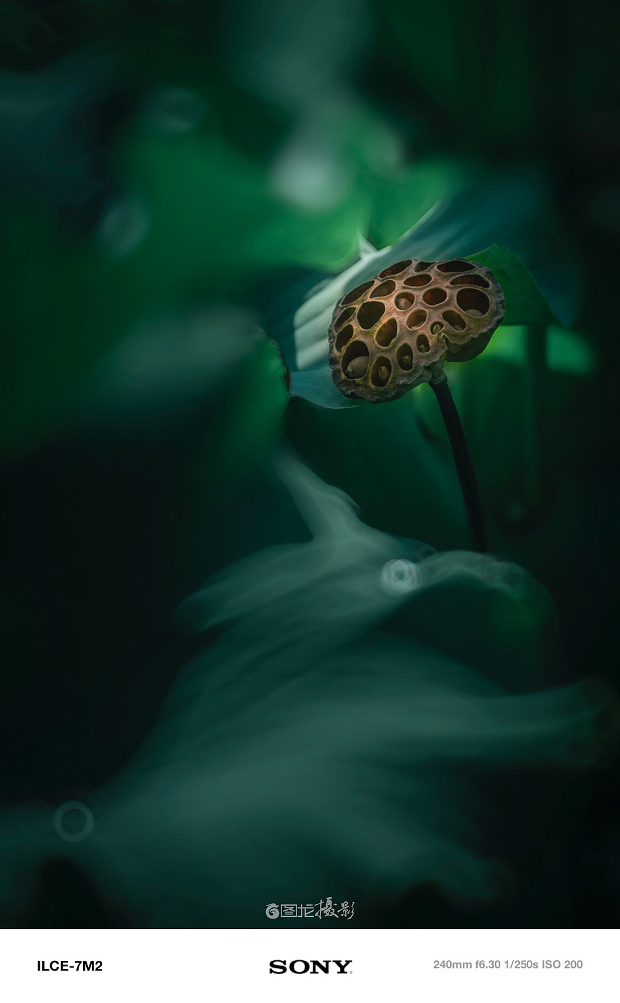 摄影笔记｜在日出与夕阳间，聆听时光的低语