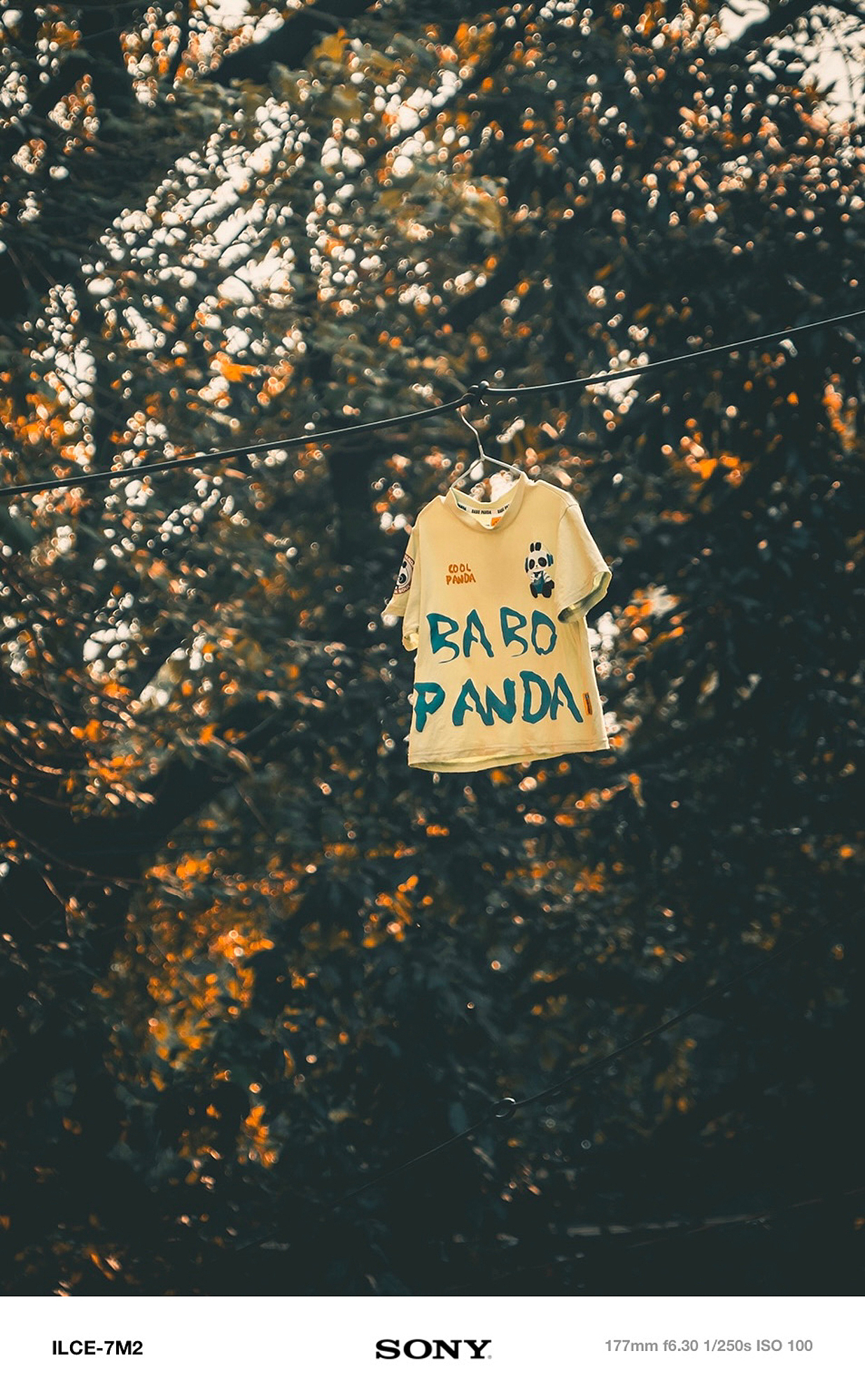 摄影笔记｜在日出与夕阳间，聆听时光的低语