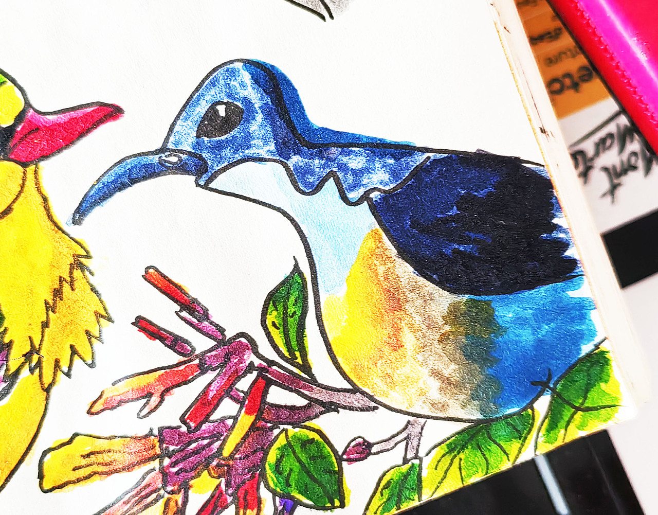 鸟水彩笔手绘速写本合集