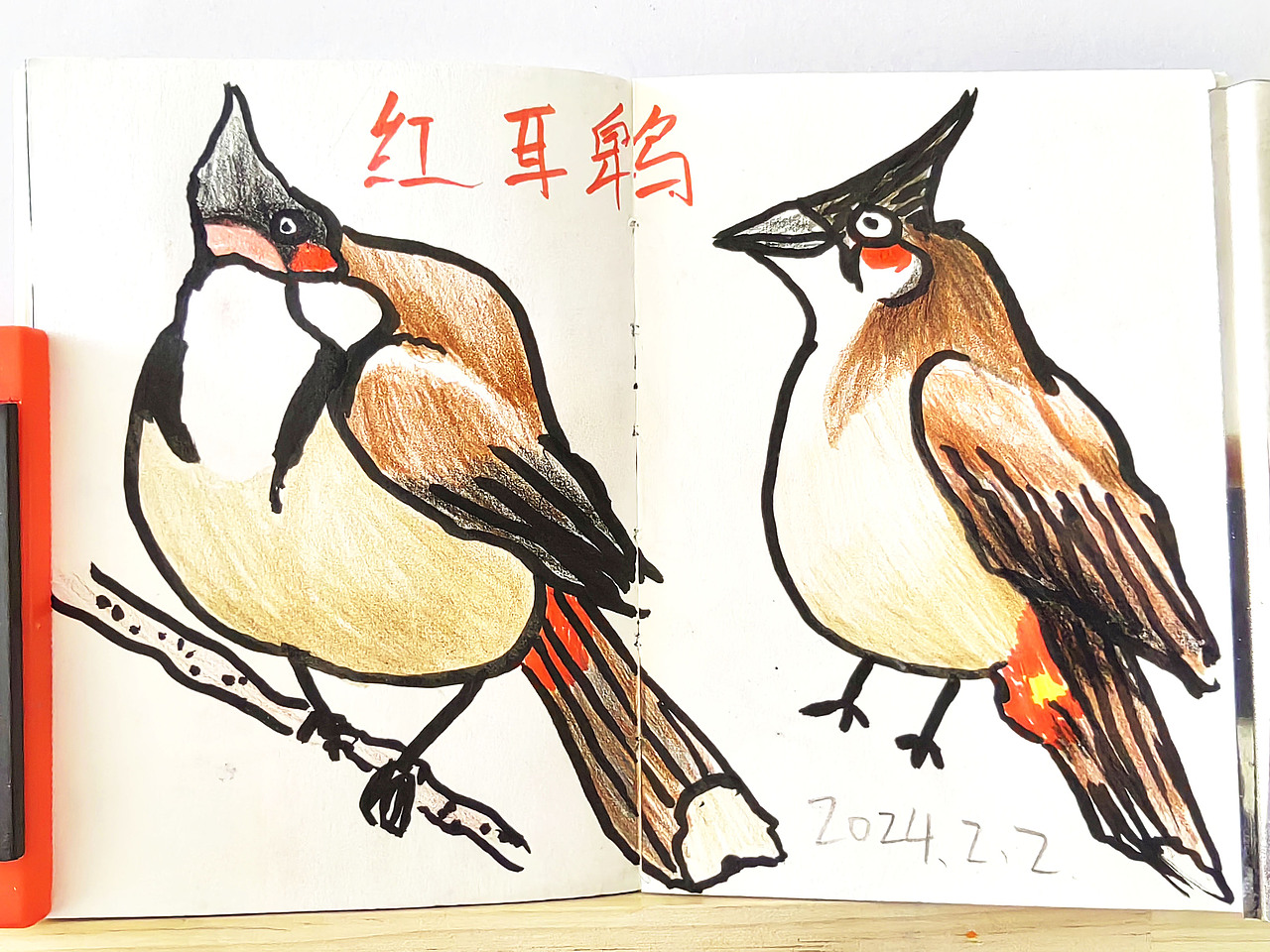 鸟水彩笔手绘速写本合集