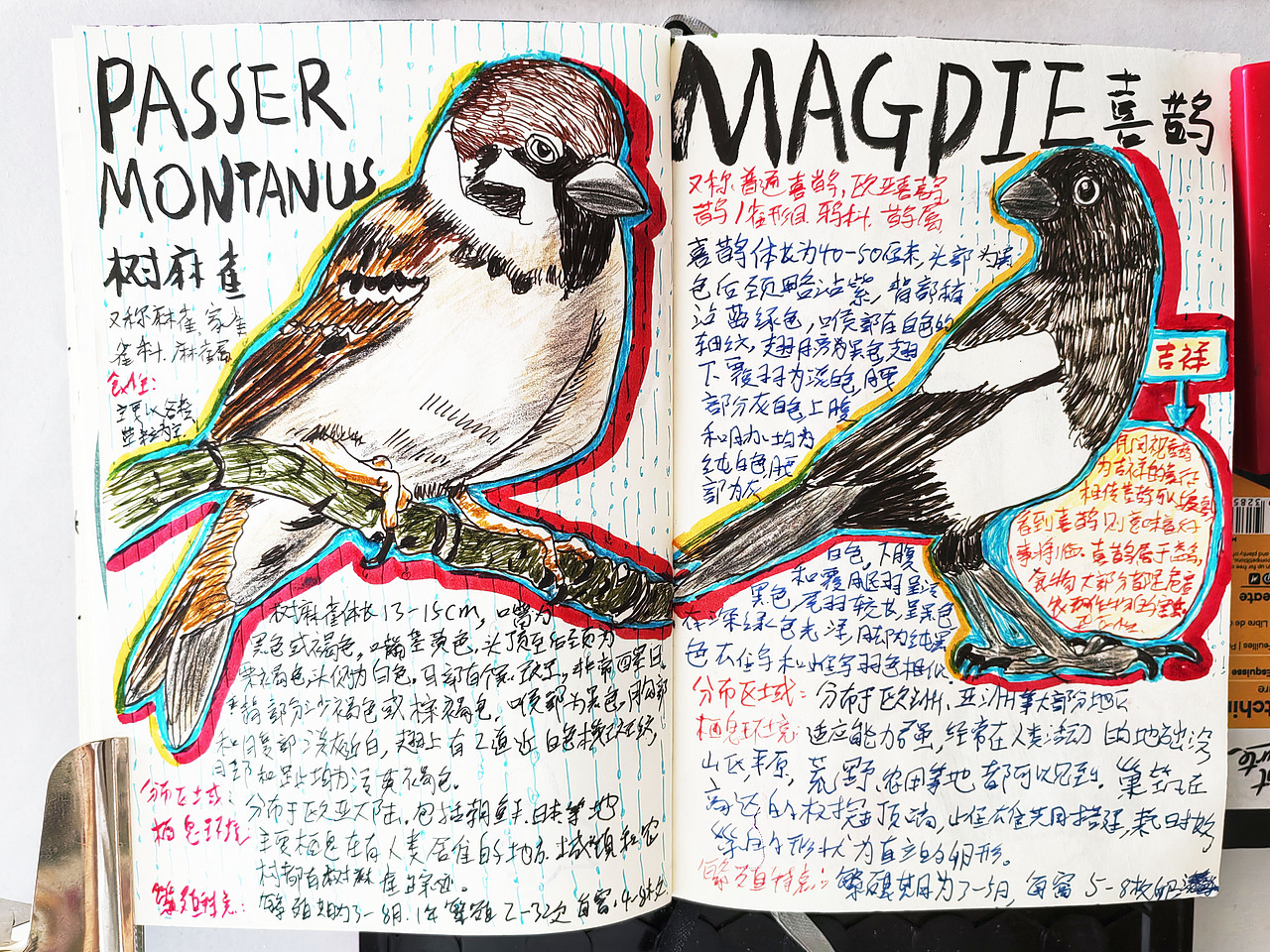 鸟水彩笔手绘速写本合集