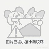 人李喜欢的头像