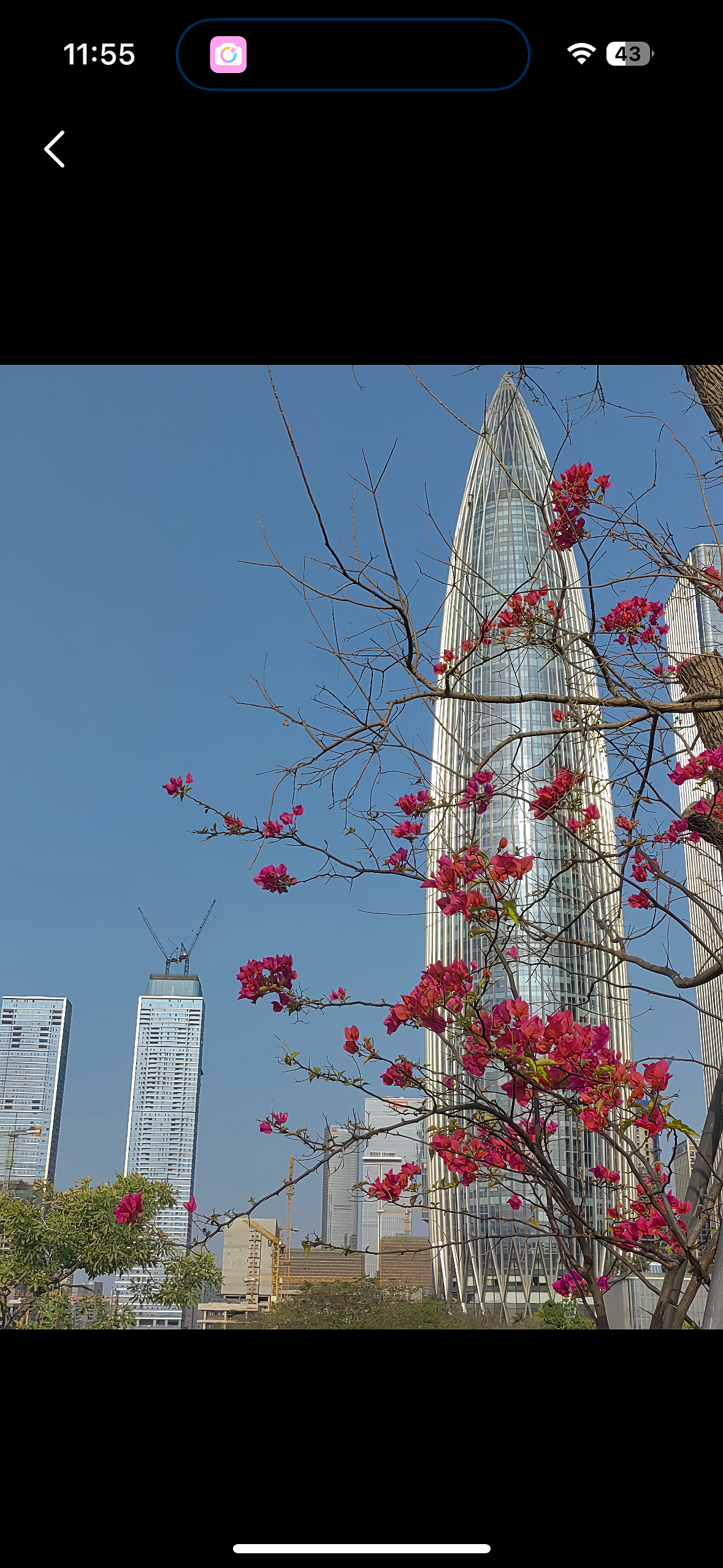 深圳人才公园镜头下的玉米楼