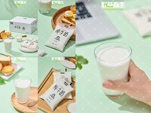 野草春生X山花百花湖纯牛奶摄影