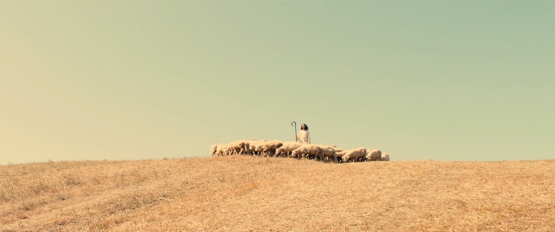 踏雪芜痕的个人主页（封面预览） - 主页封面设置 - 站酷设计师踏雪芜痕原创素材 - 站酷ZCOOL
