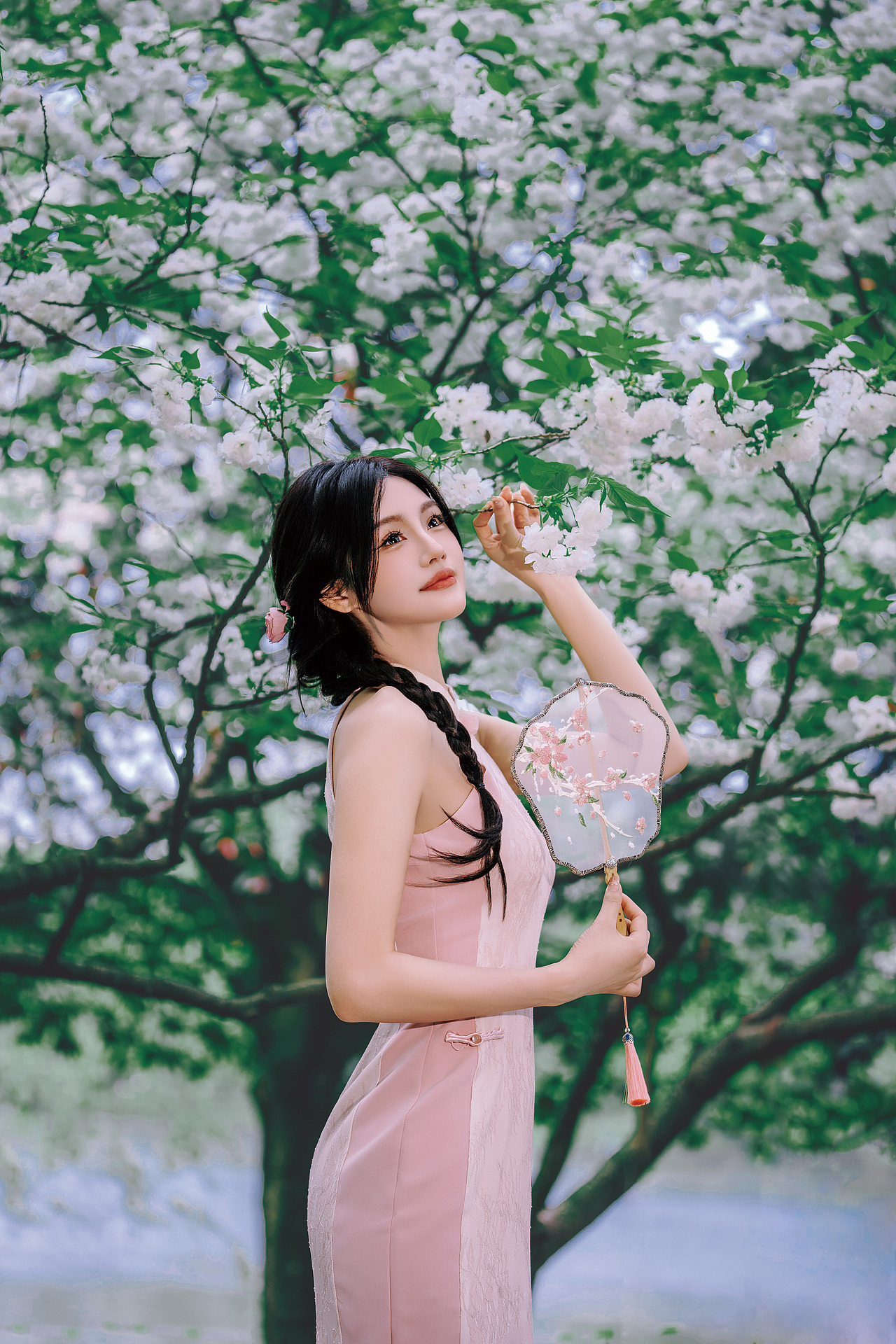 晚樱与旗袍（图ZMzg5NTI4NjI0） - 人像摄影 - 站酷设计师晓驷原创素材 - 站酷ZCOOL