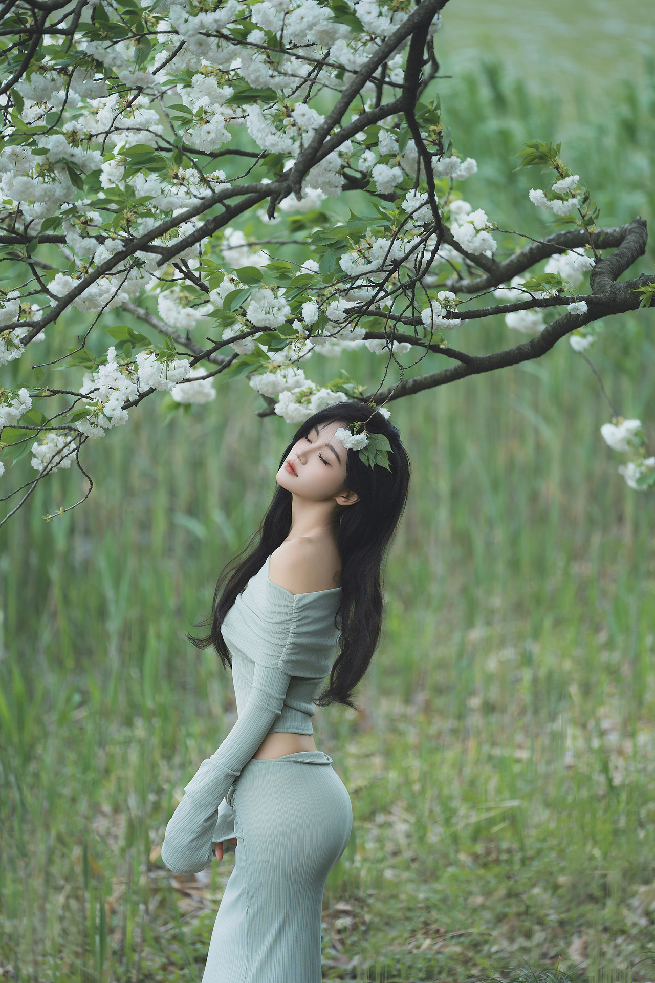 绿色是春天最好的文案