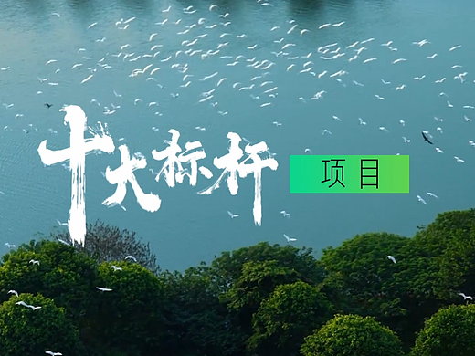 丹灶《十大标杆项目》