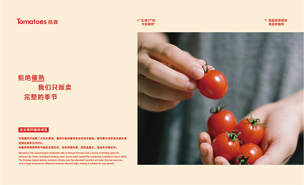 陆霖/玉女果品牌设计