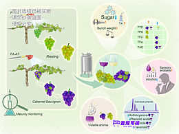 科研绘图 直观可视