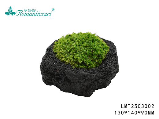 永生青苔小花艺