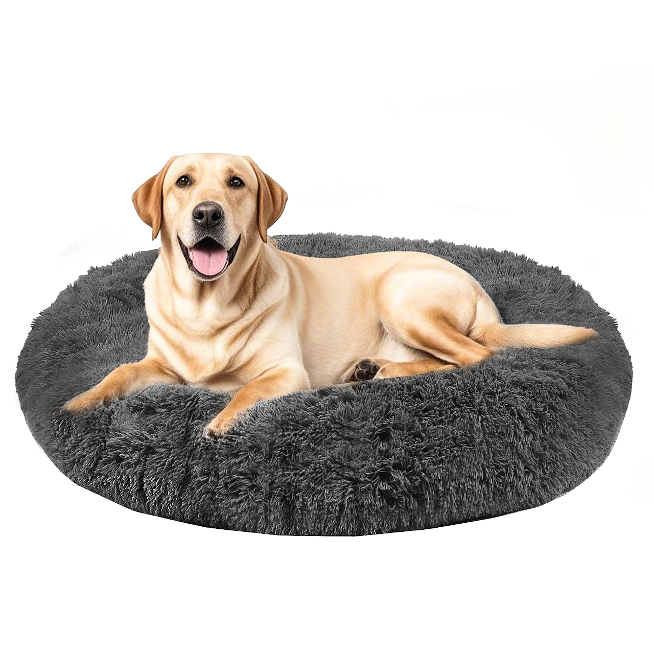 狗窝（图ZMzg5NTY0NzMy） - 其他 - 站酷设计师星露设计原创素材 - 站酷ZCOOL