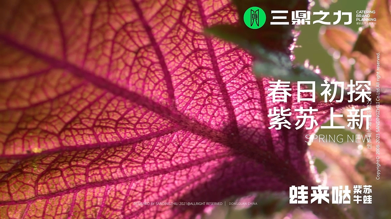 菜品视频|蛙来哒·紫苏牛蛙